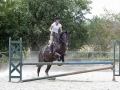 Club Hippique-Saint Germer de Fly   20