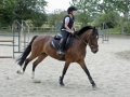 Club Hippique-Saint Germer de Fly   25