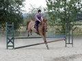 Club Hippique-Saint Germer de Fly   26