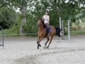 Club Hippique-Saint Germer de Fly   29