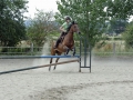 Club Hippique-Saint Germer de Fly   35