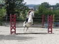 Club Hippique-Saint Germer de Fly   37