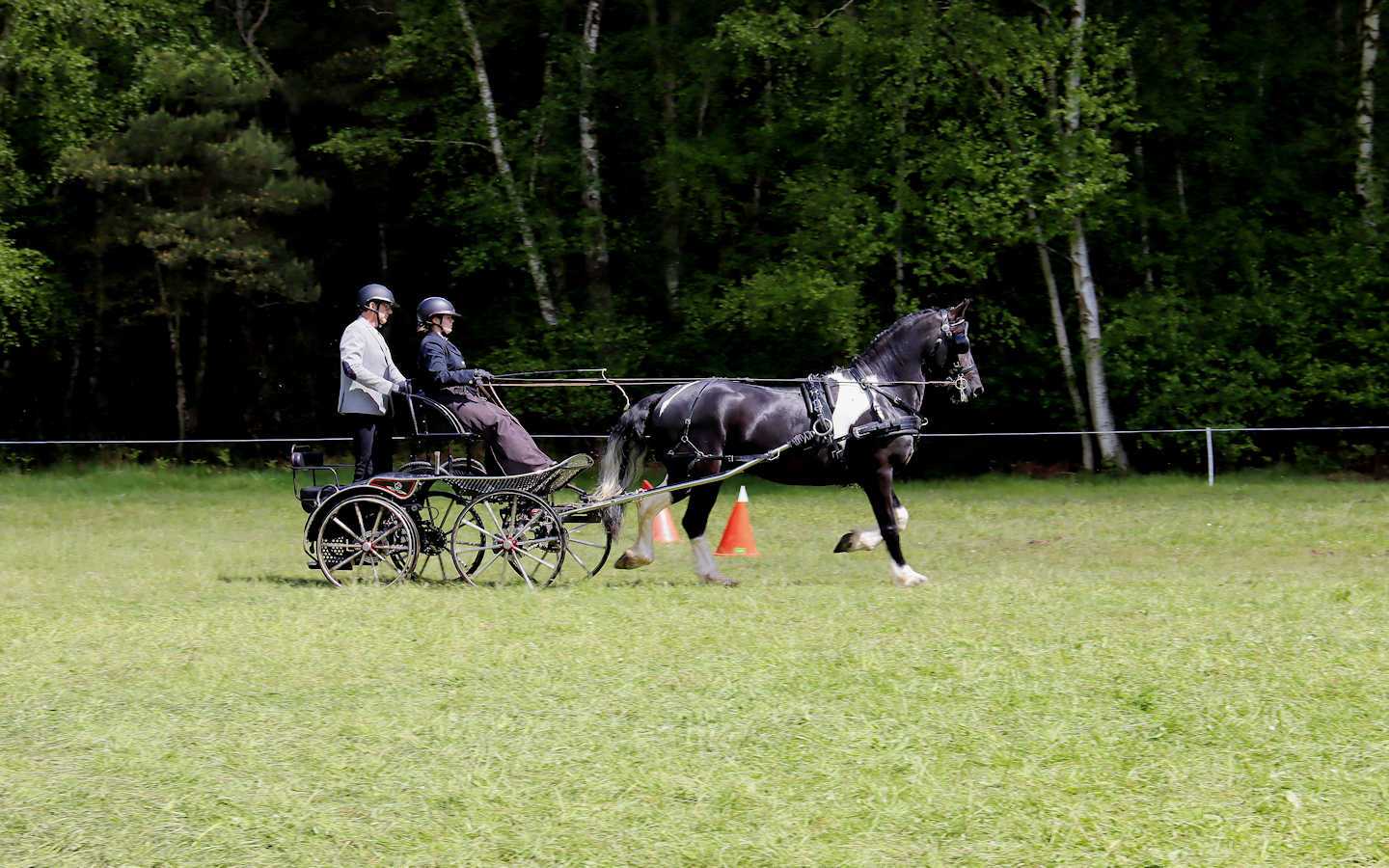 CBG OU AUTRE ATTELAGE MILITAIRE