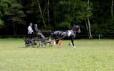 Concours-attelage-202402