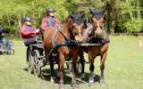 Concours-attelage-202403