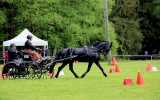Concours-attelage-202404