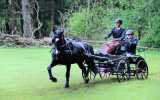 Concours-attelage-202405
