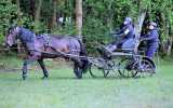 Concours-attelage-202407