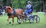 Concours-attelage-202408