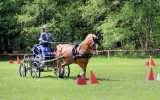 Concours-attelage-202409