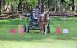 Concours-attelage-202410