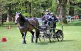 Concours-attelage-202411