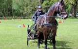 Concours-attelage-202412
