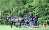 Concours-attelage-202413