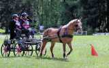 Concours-attelage-202414