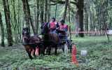 Concours-attelage-202415