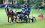 Concours-attelage-202416