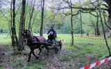 Concours-attelage-202417