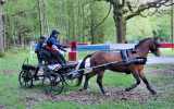 Concours-attelage-202418