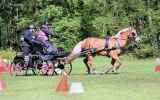 Concours-attelage-202420