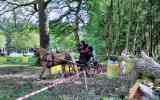Concours-attelage-202421