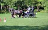 Concours-attelage-202423