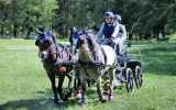 Concours-attelage-202426