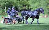 Concours-attelage-202427