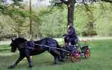 Concours-attelage-202428