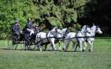 Concours-attelage-202429