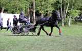 Concours-attelage-202430