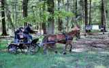 Concours-attelage-202431