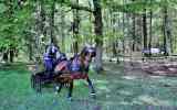 Concours-attelage-202432