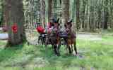 Concours-attelage-202435