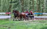 Concours-attelage-202436