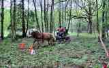 Concours-attelage-202437