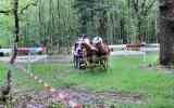 Concours-attelage-202438