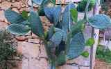 Crete_2024_-47
