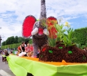 Defile de la St Claire22