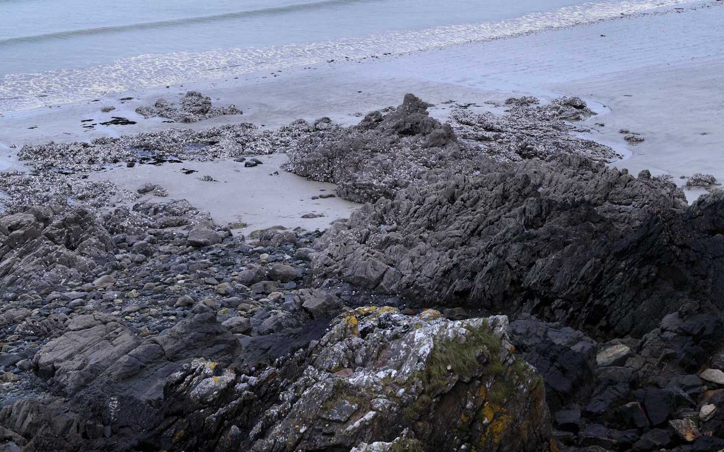 BRETAGNE-AVRIL-2024_12