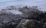 BRETAGNE-AVRIL-2024_12