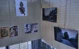 Expo-Ourse-2024_-30