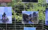 Exposition-artistique-2023_46