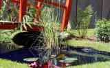 Festivals-japonais-2024_-03