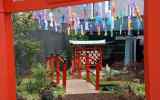 Festivals-japonais-2024_-04