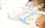 Festivals-japonais-2024_-45