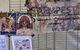 Festivals-japonais-2024_-75