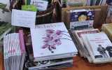 Fete-de-la-Pomme-2023_016
