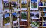 Fete-de-la-Pomme-2023_033