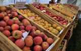 Fete-de-la-Pomme-2023_045